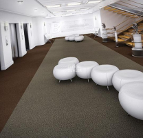 Forbo Coral Marine FR 4204 Santos Brown фото 3 | FLOORDEALER